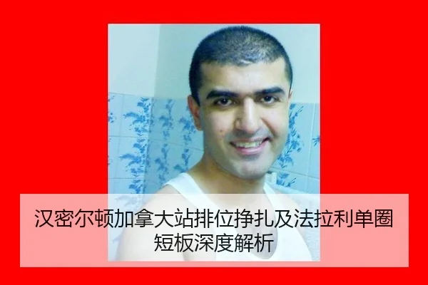 han-mi-er-dun-jia-na-da-zhan-pai-wei-zheng-zha-ji-fa-la-li-dan-quan-duan-ban-shen-du-jie-xi-2-666.jpg