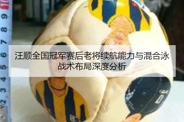 汪顺全国冠军赛后老将续航能力与混合泳战术布局深度分析