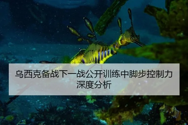 wu-xi-ke-bei-zhan-xia-yi-zhan-gong-kai-xun-lian-zhong-jiao-bu-kong-zhi-li-shen-du-fen-xi-2-383.jpg